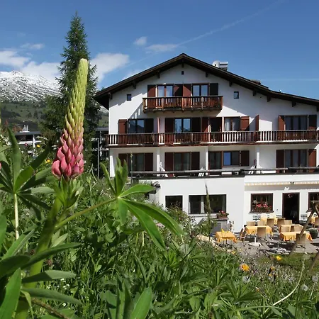 Collina